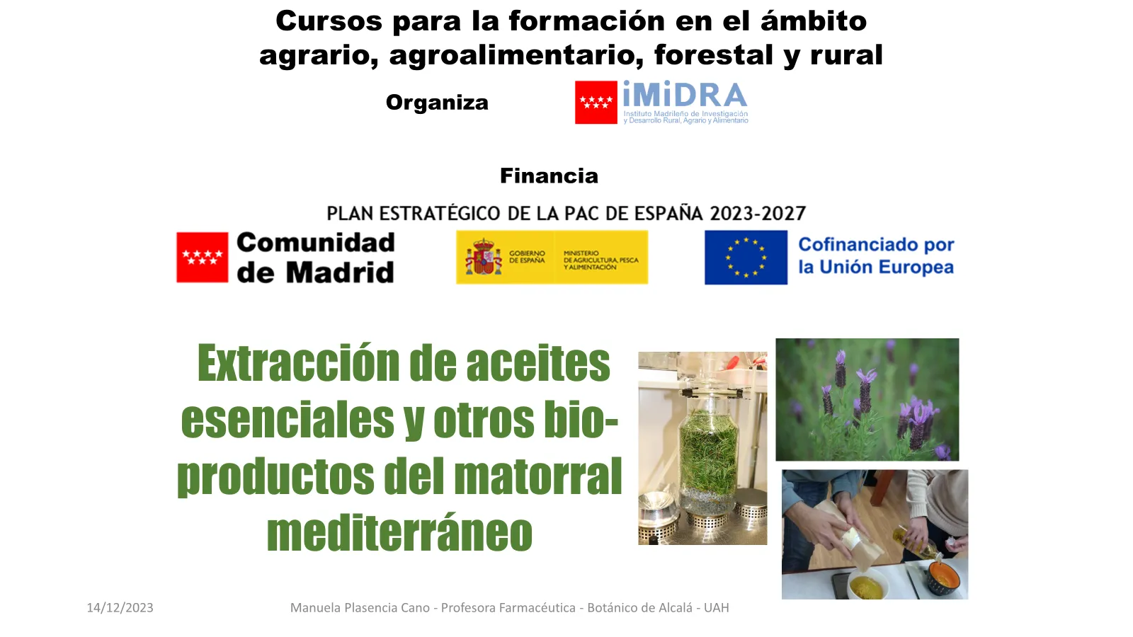 Extracción de aceites esenciales y otros bioproductos del matorral mediterráneo