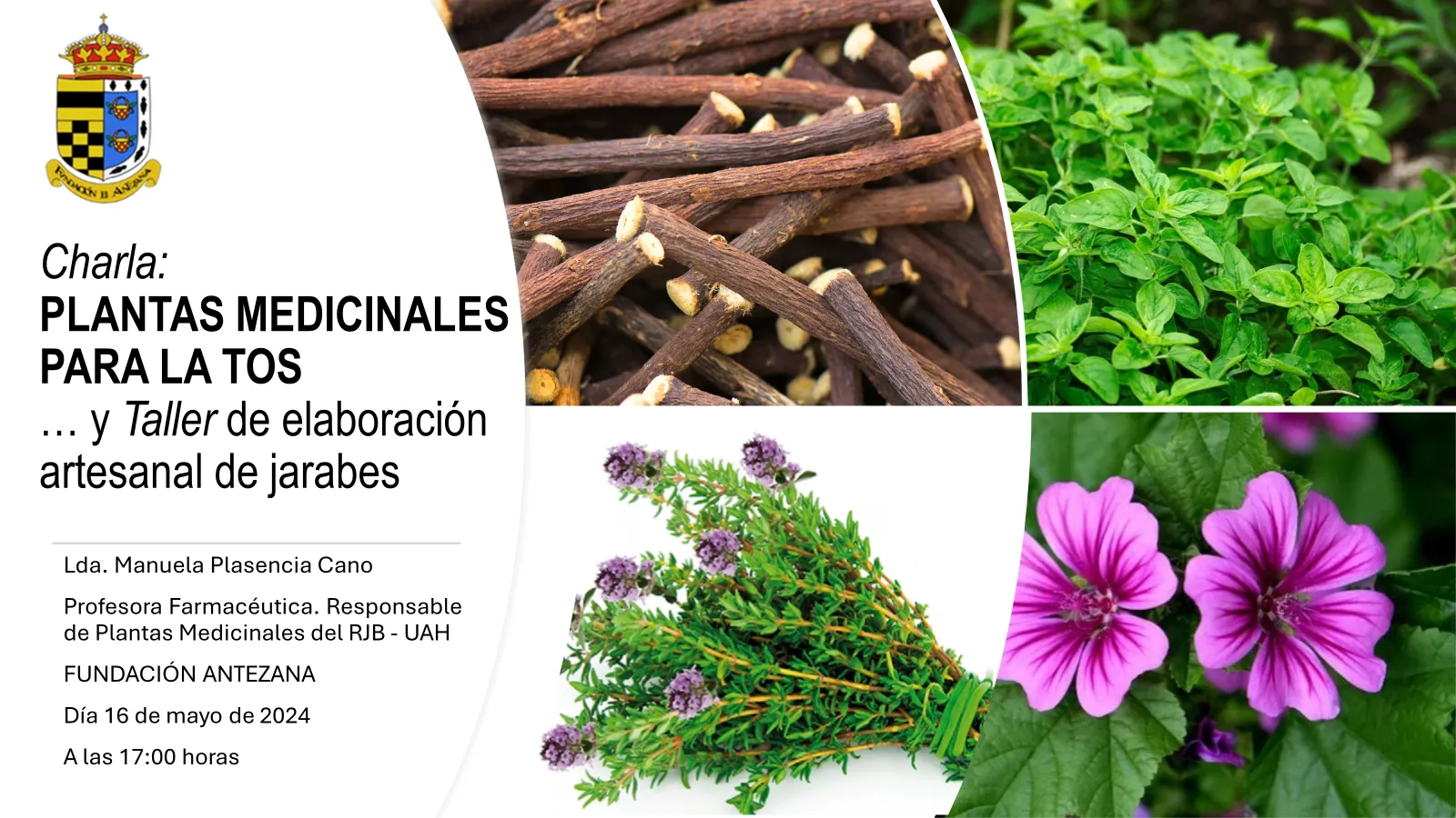 Plantas Medicinales para la tos