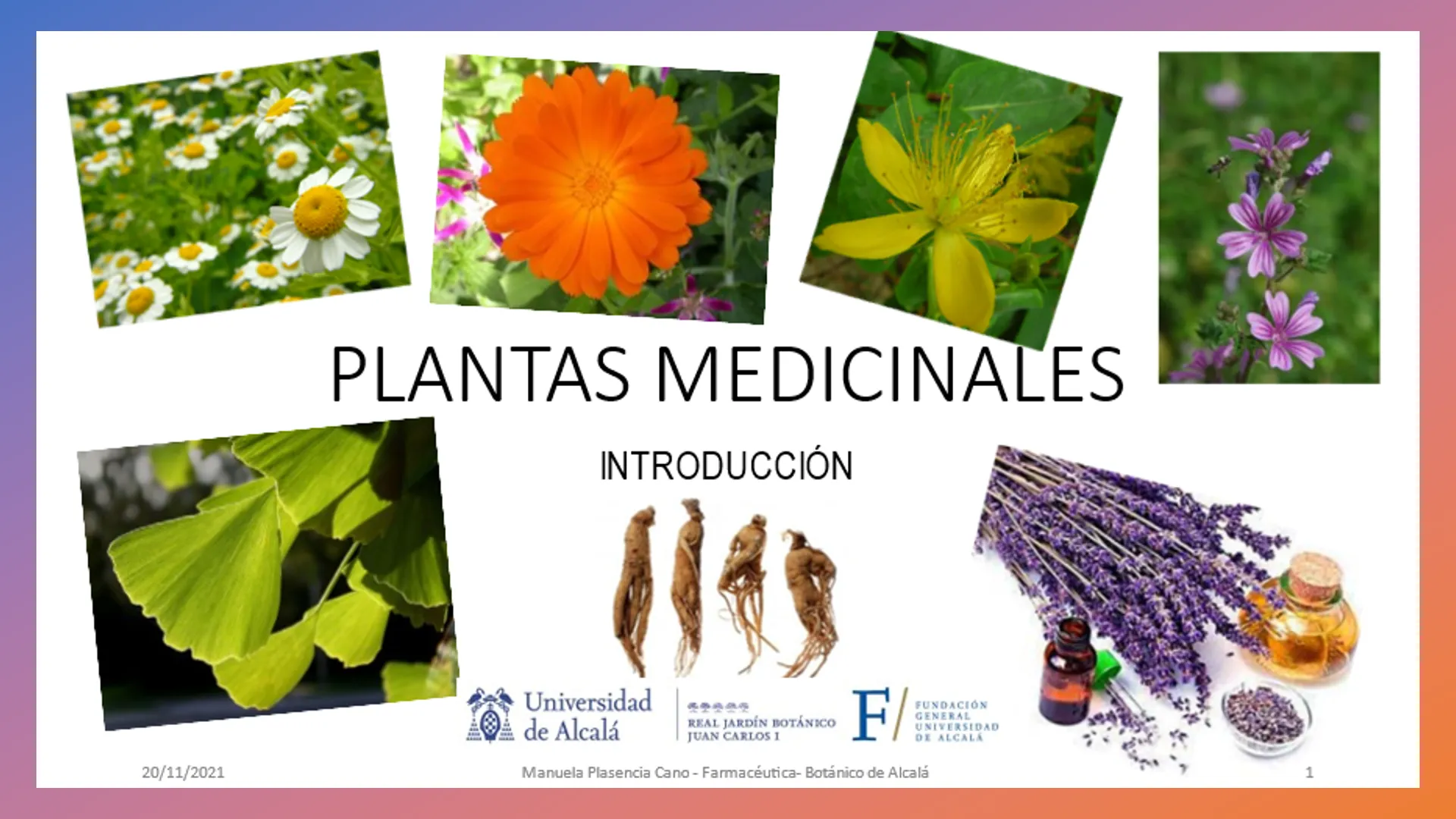 Introducción a las plantas medicinales UAH